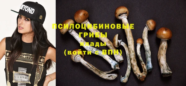 ешки Струнино